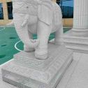 烟台 白麻花岗岩动物异形石雕-大象
