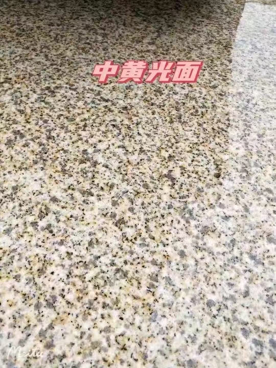 烟台黄金麻中黄光面